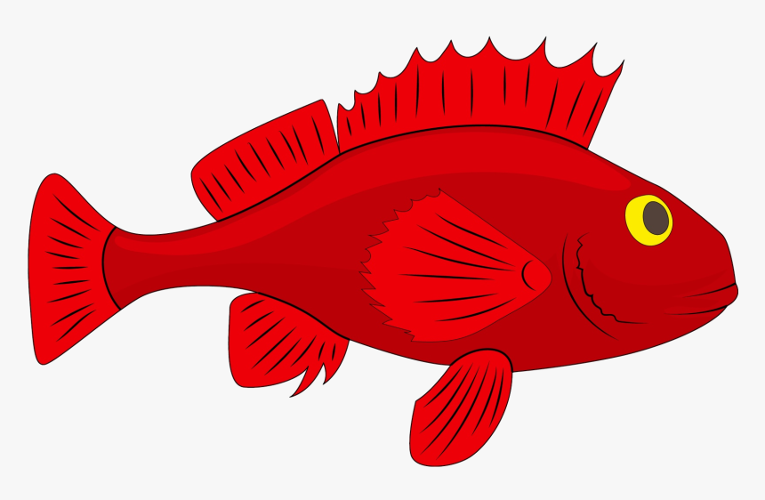 Fish For Taiapure - Ocean Clipart Fish Images Cartoon, HD Png Download, Free Download