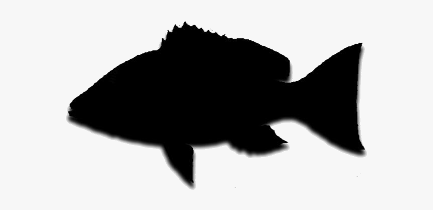 Red Fish Png Transparent Images - Bony-fish, Png Download, Free Download