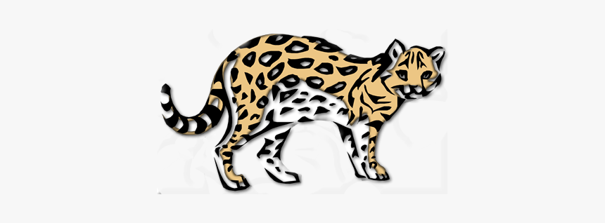 Ocelot - Clouded Leopard, HD Png Download, Free Download