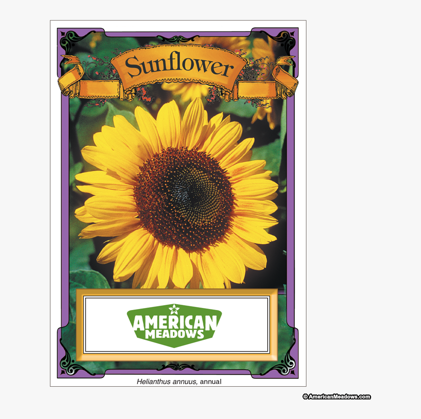 Transparent Sunflower Seeds Png - Vintage Sunflower Seed Packets, Png Download, Free Download