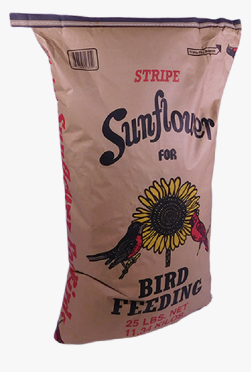 Transparent Sunflower Seed Png - Sunflower Seed On Pallets, Png Download, Free Download