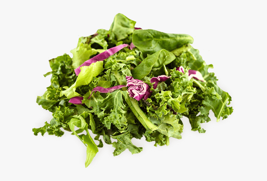 Romaine Lettuce, HD Png Download, Free Download