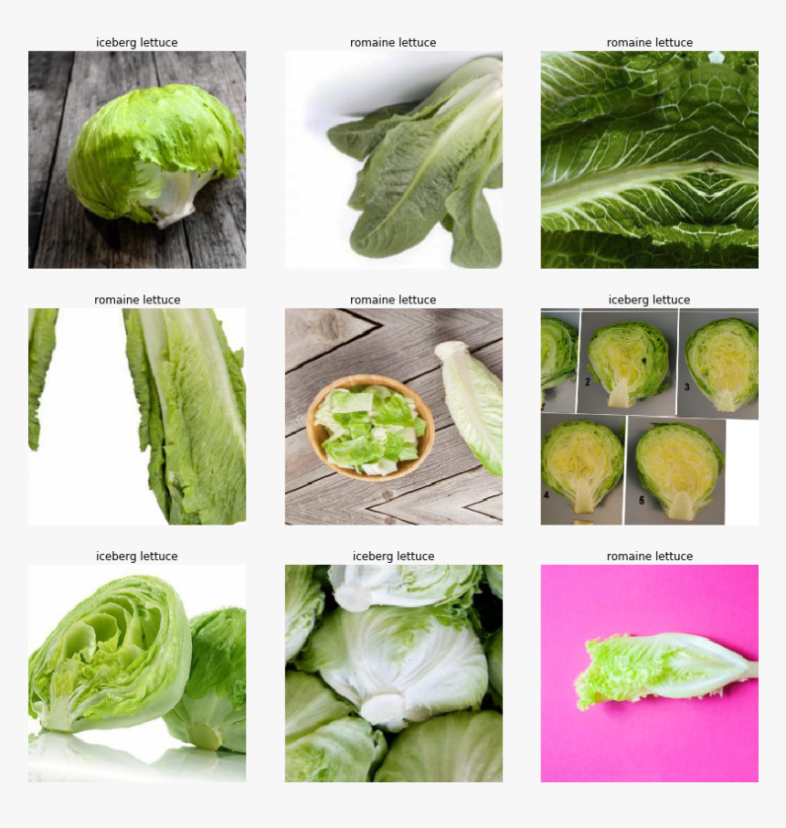 Cruciferous Vegetables, HD Png Download, Free Download