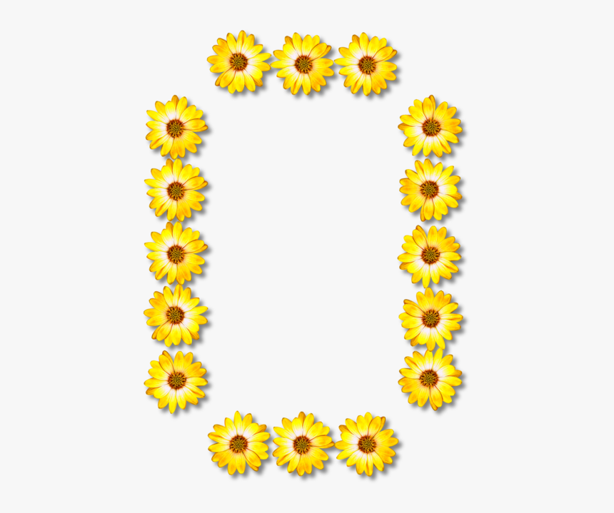 Sunflower Seed,plant,flower - Number 0 Design Sunflower, HD Png Download, Free Download
