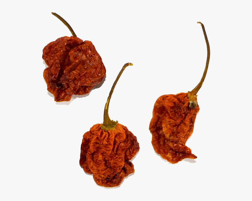 Carolina Reaper Chiles 3 - Bird's Eye Chili, HD Png Download, Free Download