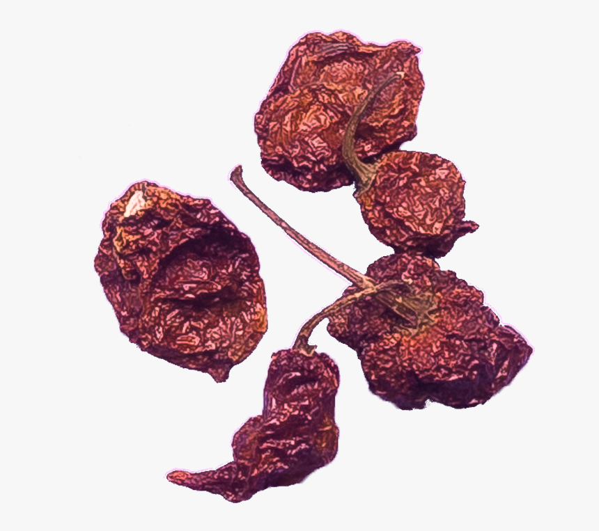 Carolina Reaper Png - Sultana, Transparent Png, Free Download