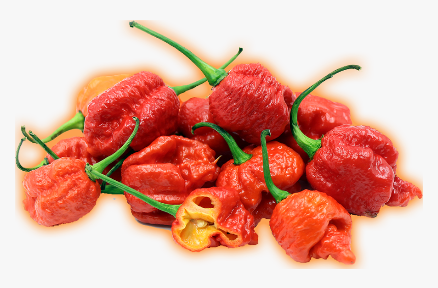 Carolina Reaper Pepper Png, Transparent Png, Free Download