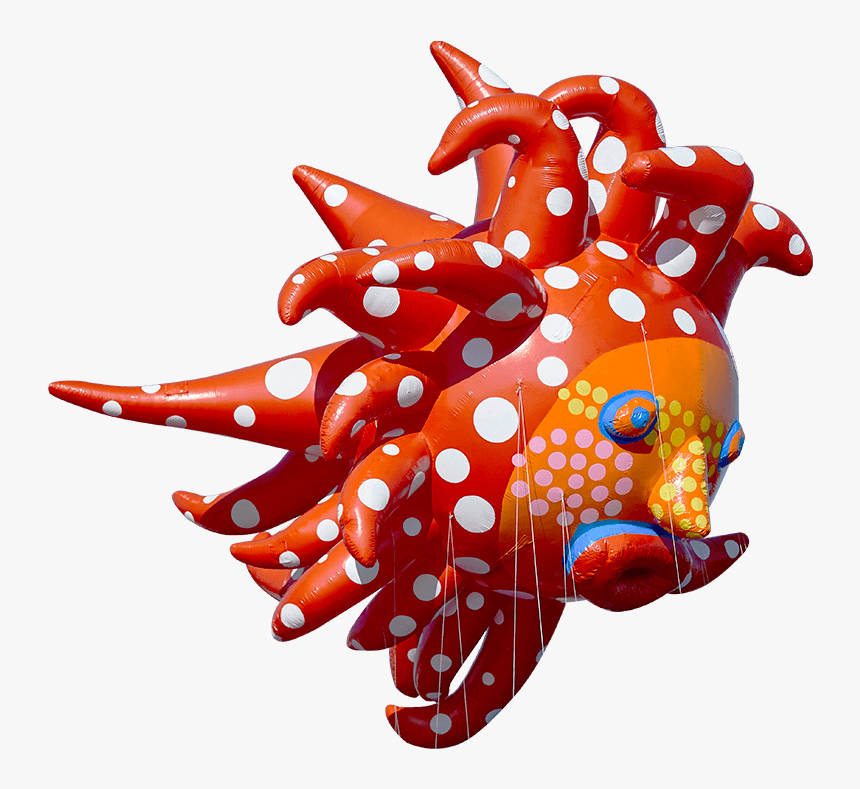 Marine Invertebrates, HD Png Download, Free Download