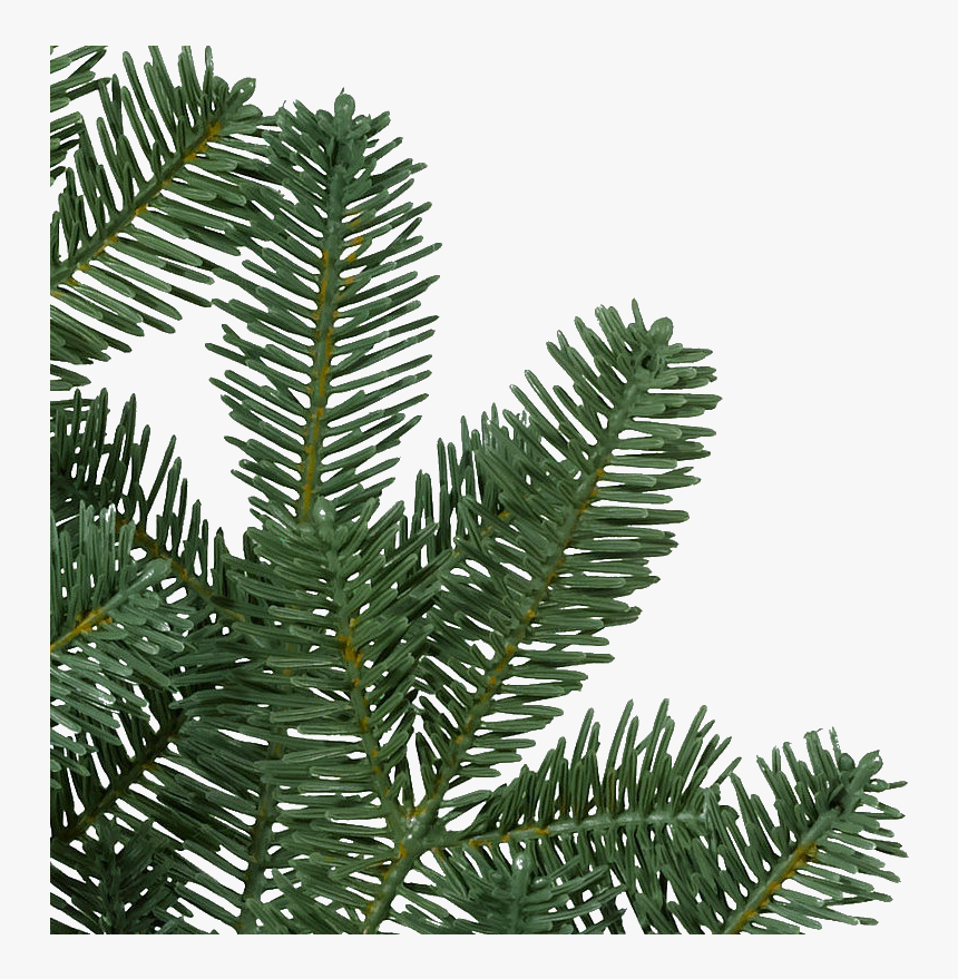 Christmas Tree, HD Png Download, Free Download