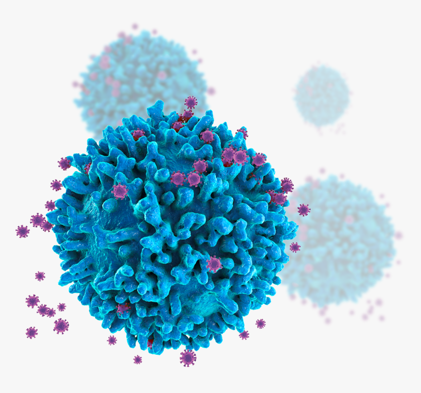 Virus Vih En Linfocito, HD Png Download, Free Download