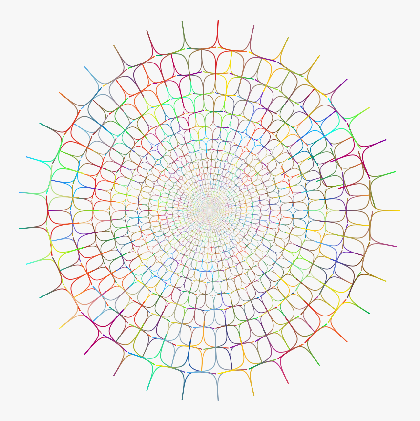 Circular Family Tree Chart 10 Generation, HD Png Download, Free Download