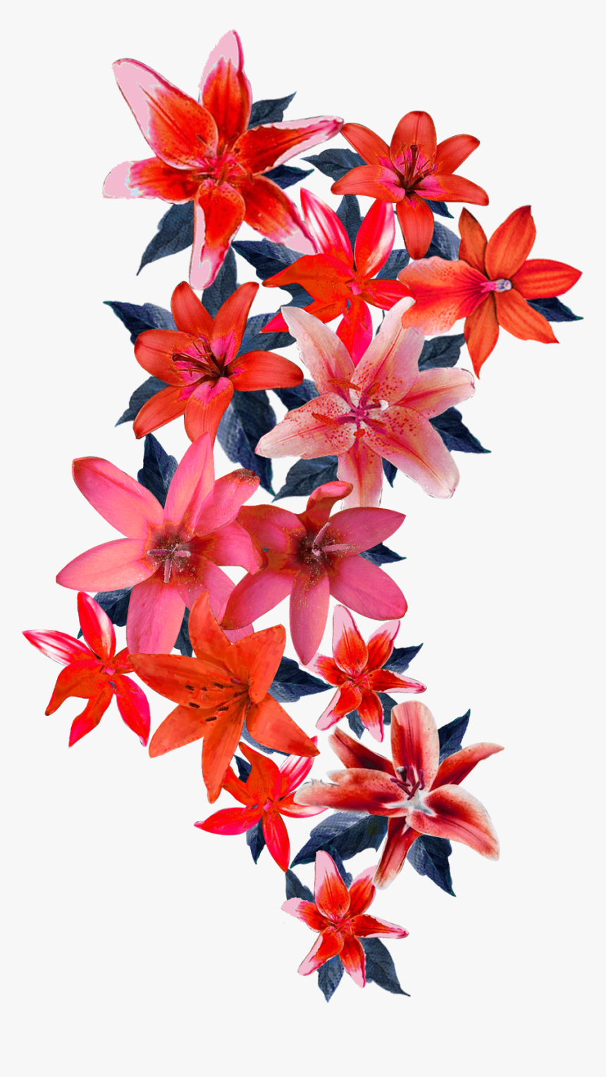 Vector Flowers Design Png, Transparent Png, Free Download