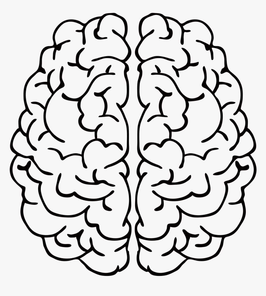 Abstract Brain Line Art - Black And White Brain Png, Transparent Png, Free Download