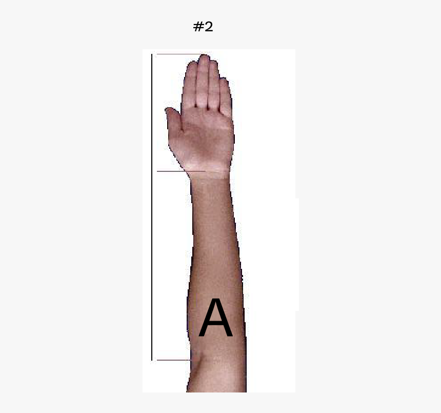 Should Forearm Tattoos Be Oriented, HD Png Download, Free Download