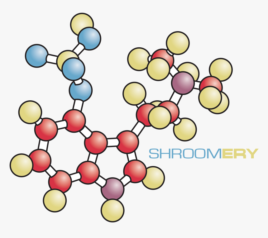 Circle, HD Png Download, Free Download