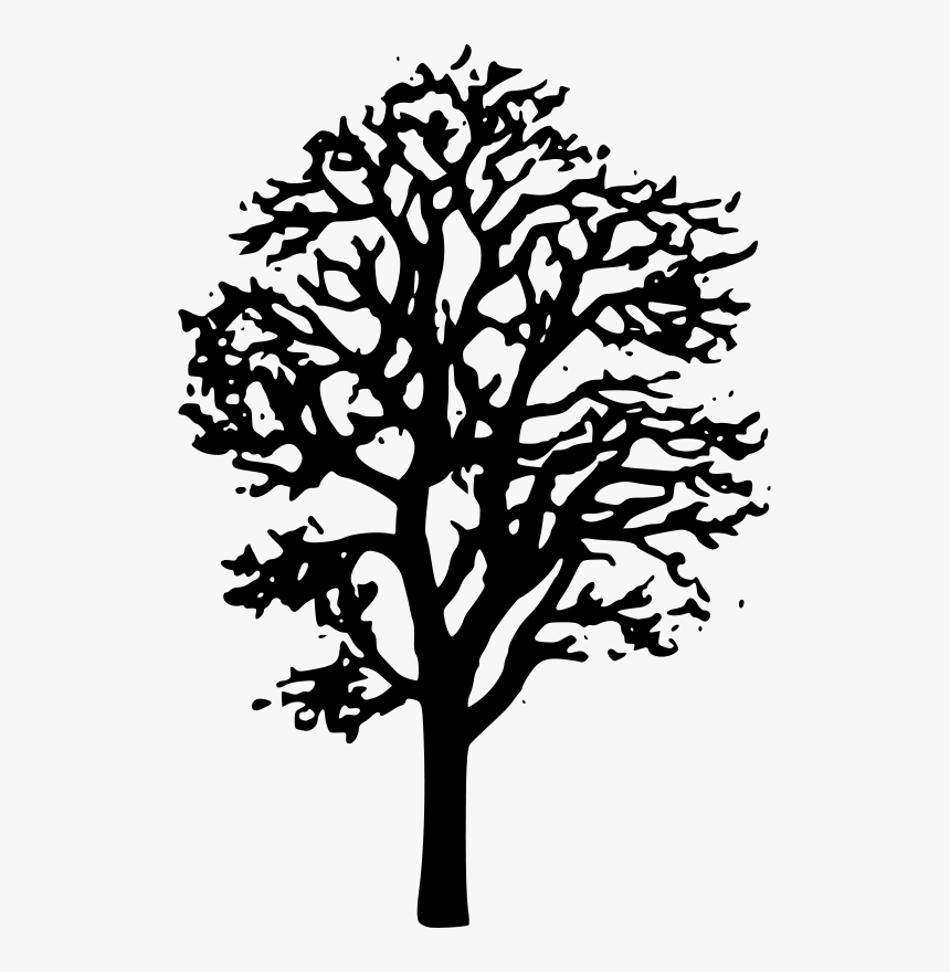 Tree Clipart Black And White Transparent, HD Png Download, Free Download