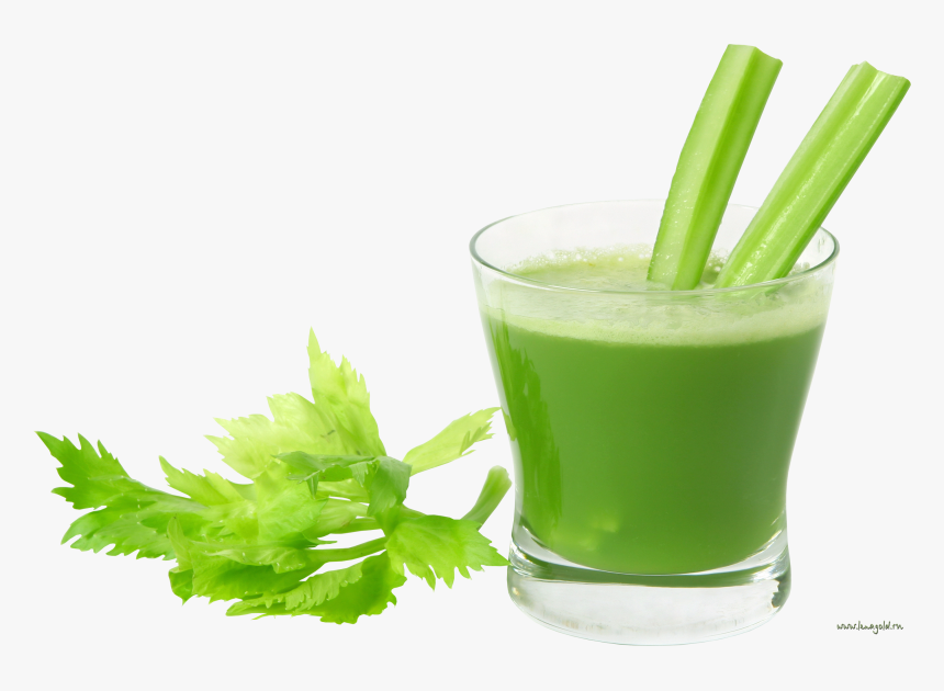 Juice Vector Fruit Shake - Green Juice No Background, HD Png Download, Free Download