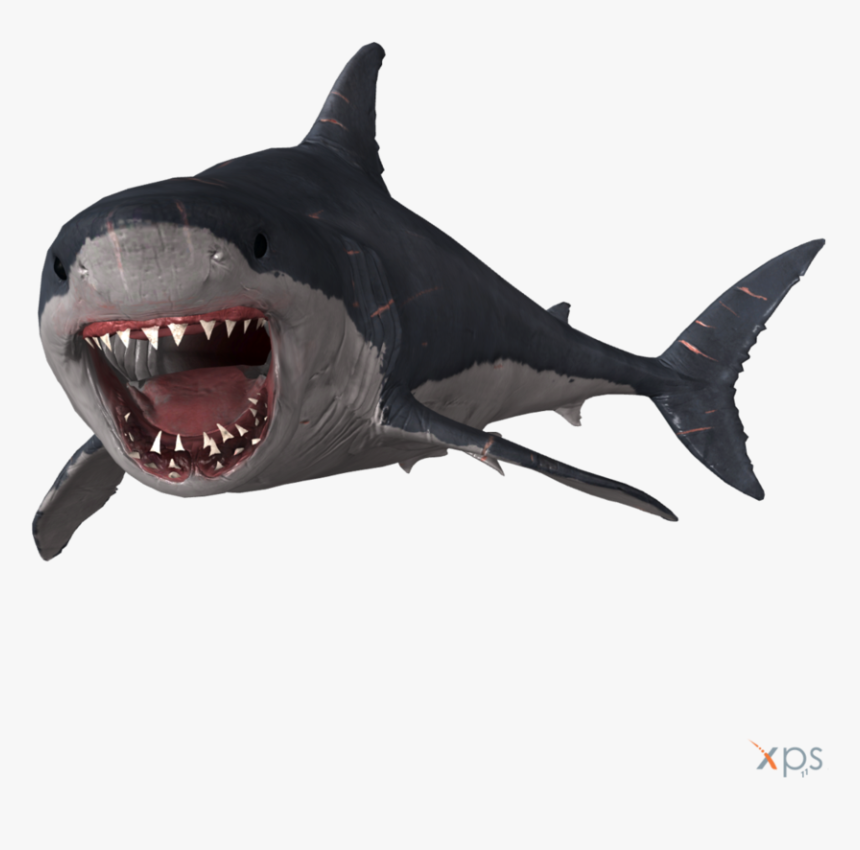 Megalodon Png Photo - Megalodon Depth, Transparent Png, Free Download