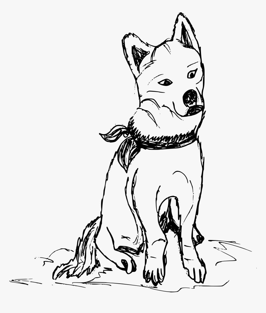 Dog Drawing Transparent, HD Png Download, Free Download