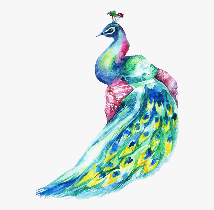 11th Annual Peacock Ball - Peacock Watercolor, HD Png Download, Free Download