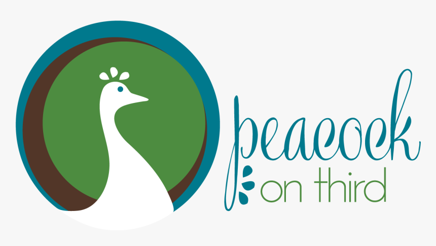 Peacock Logo Png, Transparent Png, Free Download