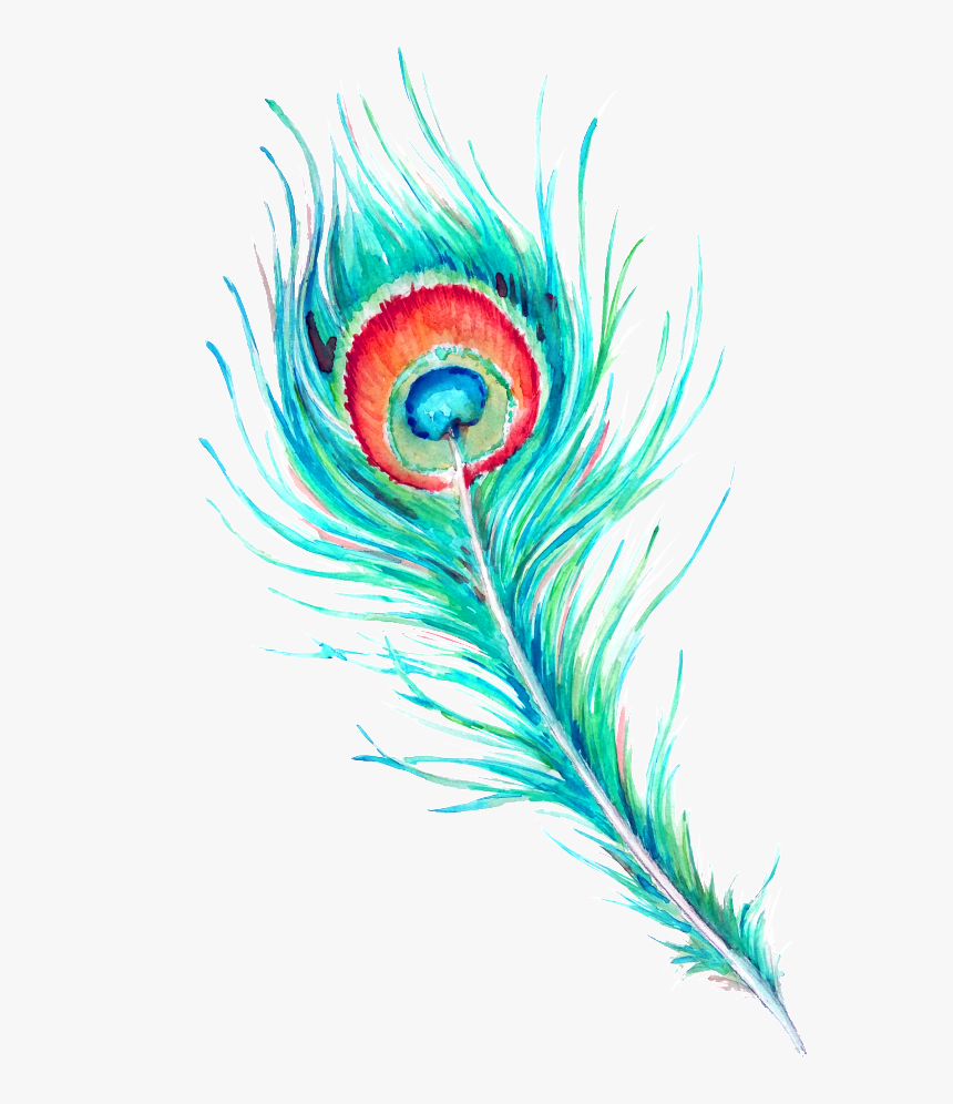 Peacock Feather Hd Beautiful Png - Peacock Feather Hd Download, Transparent Png, Free Download