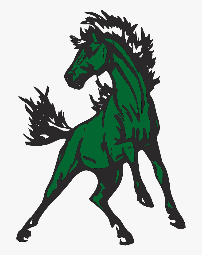 School Logo - Clear Fork Colts Logo, HD Png Download, Free Download