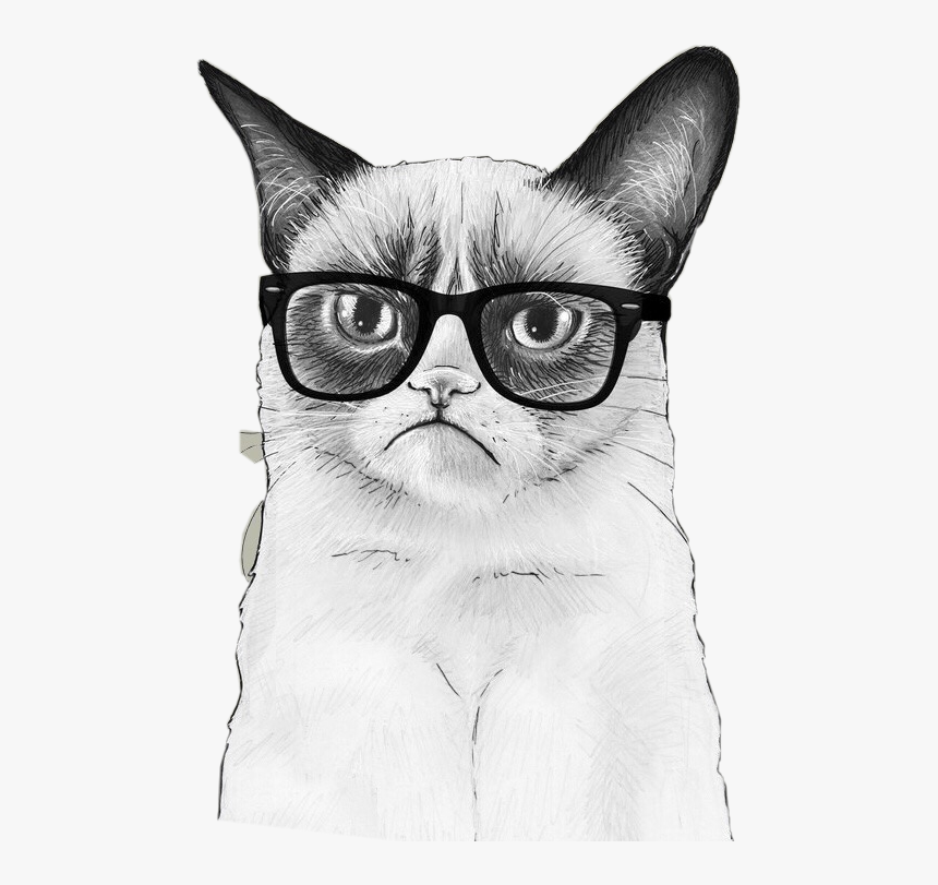 Transparent Grumpy Cat Png - Grumpy Cat Wallpapers Iphone, Png Download, Free Download