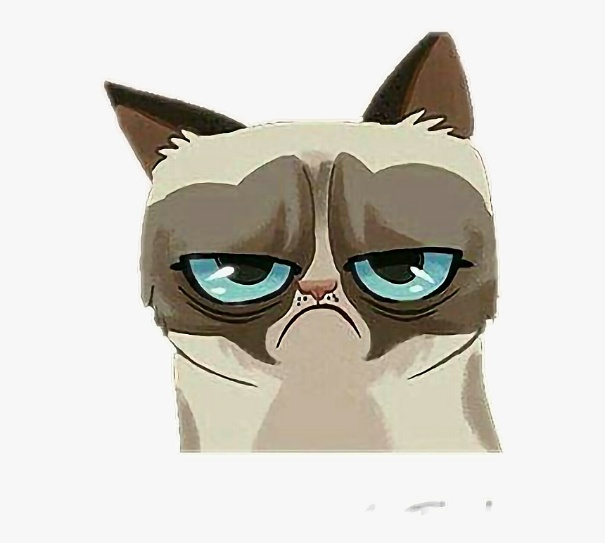 Transparent Angry Cat Png - Grumpy Cat Cartoon Png, Png Download, Free Download