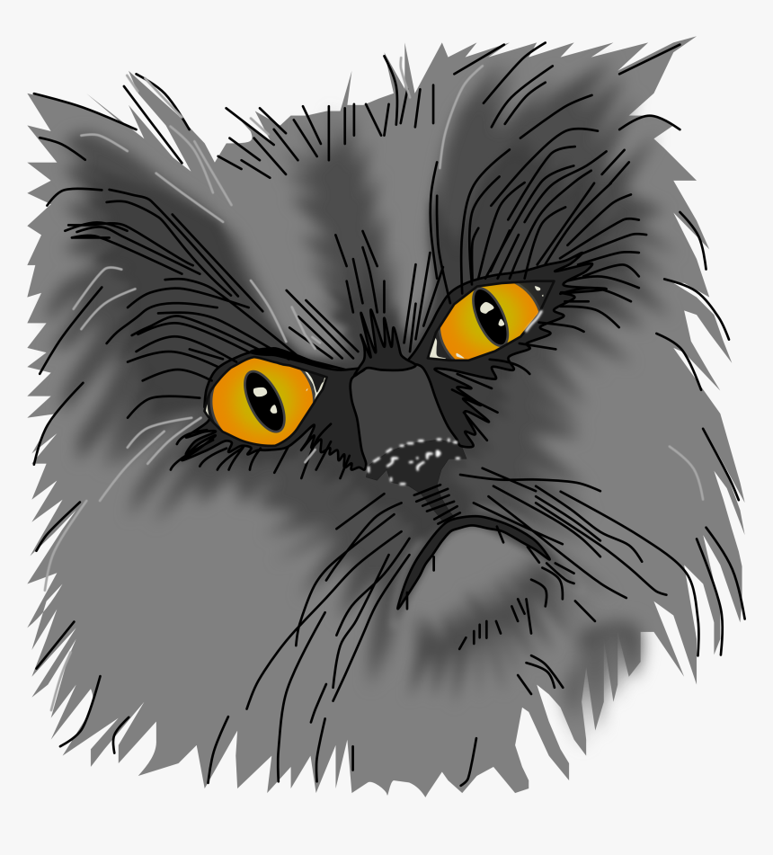 A Grumpy Cat Vector - Asian, HD Png Download, Free Download