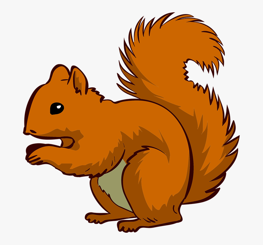 Squirrel, Animal, Pet - Transparent Background Squirrel Clipart, HD Png Download, Free Download