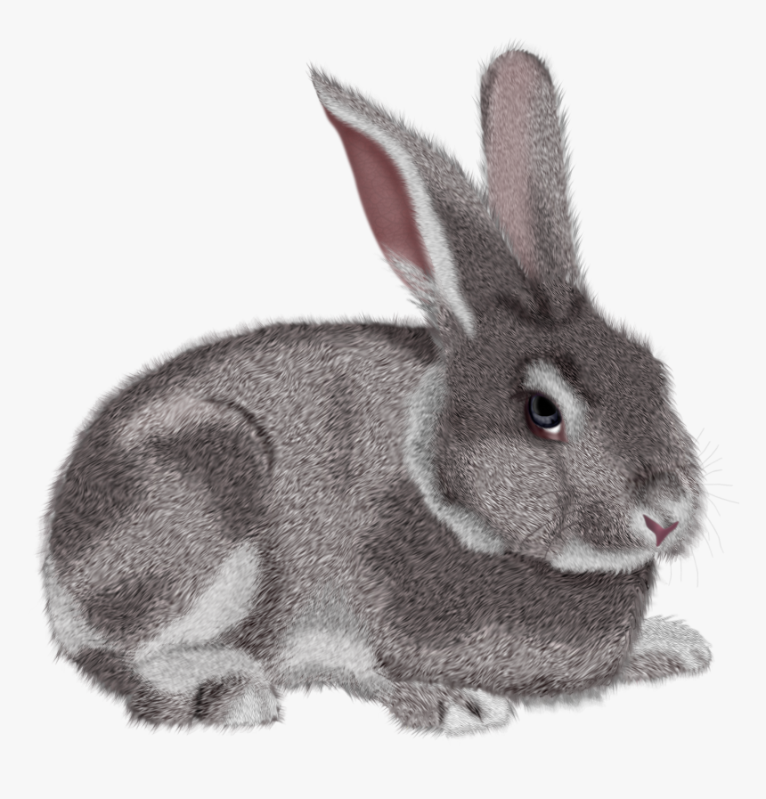 Moving Bunny Clip Art Cartoon Rabbits Images - Rabbit Clipart Png Transparent, Png Download, Free Download