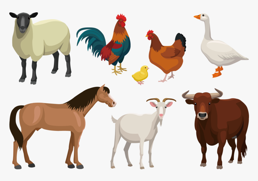 Cattle Goat Sheep Livestock - Farm Animals Vector Png, Transparent Png, Free Download