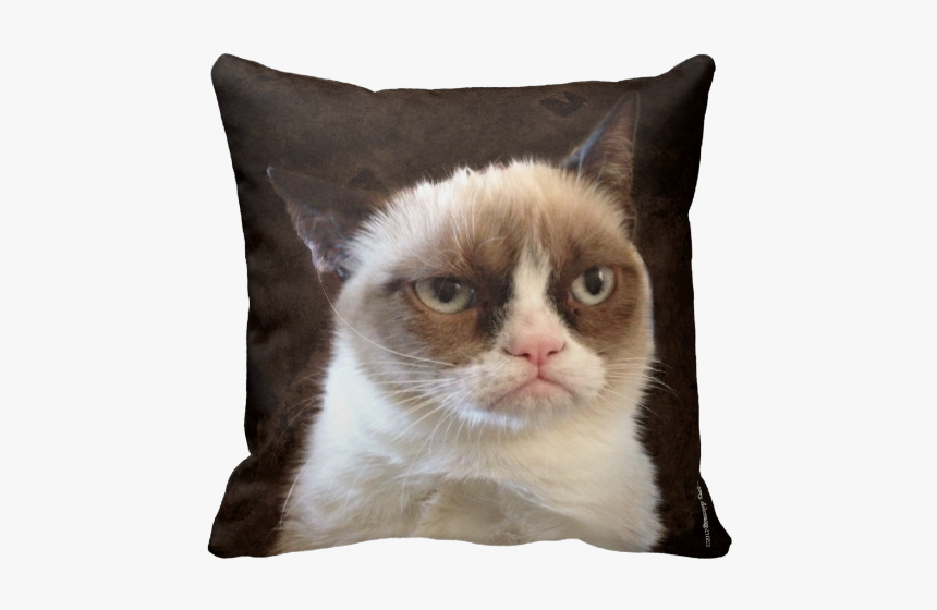 Grumpy Cat Pillow - Grumpy Cat, HD Png Download, Free Download