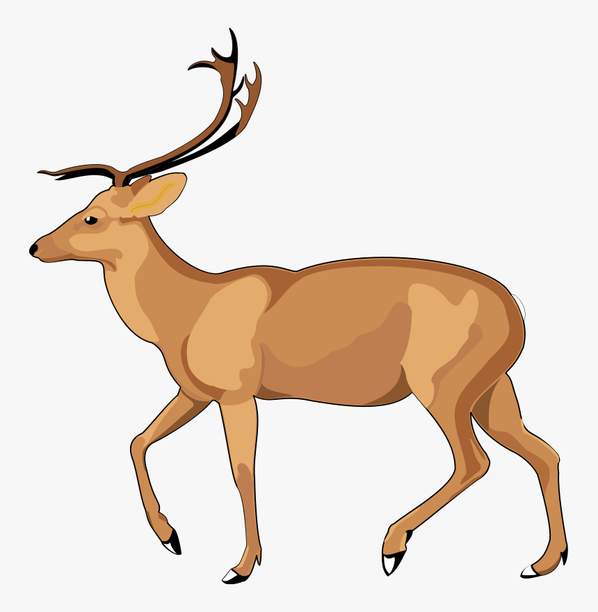 Animal 8 Free Vector - Debden Park High School, HD Png Download, Free Download