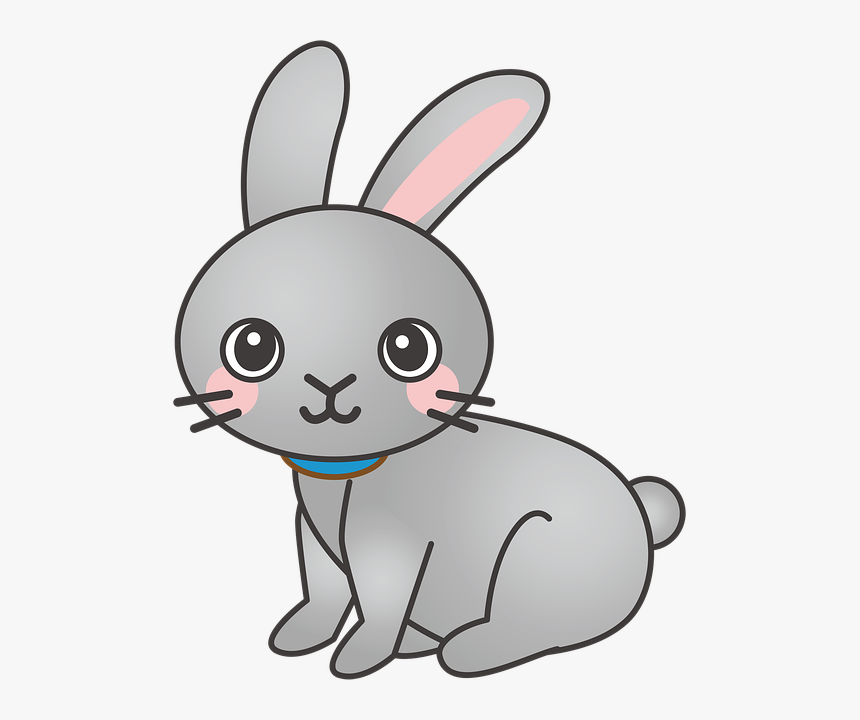 Rabbit, Bunny, Animal, Cute - Rabbit Cartoon Png, Transparent Png, Free Download