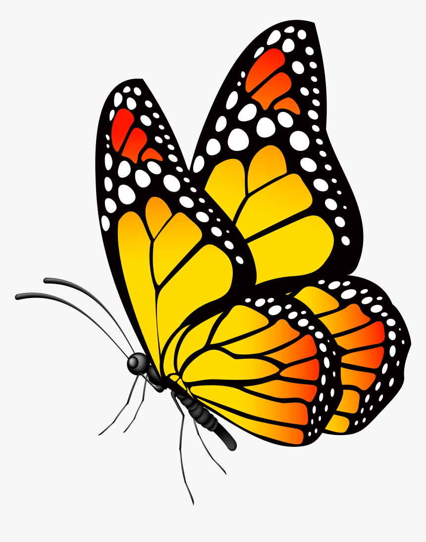 Monarch Butterfly Png, Transparent Png, Free Download