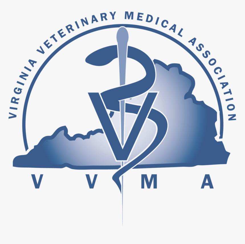 Vvma Logo Transparent Background - Association Member Benefits Flier, HD Png Download, Free Download