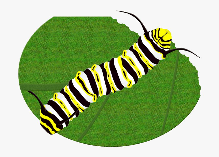 Monarch Butterfly Caterpillar Clipart Brush-footed - Monarch Butterfly Caterpillar, HD Png Download, Free Download