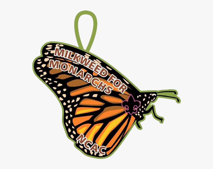 Monarch Butterfly, HD Png Download, Free Download