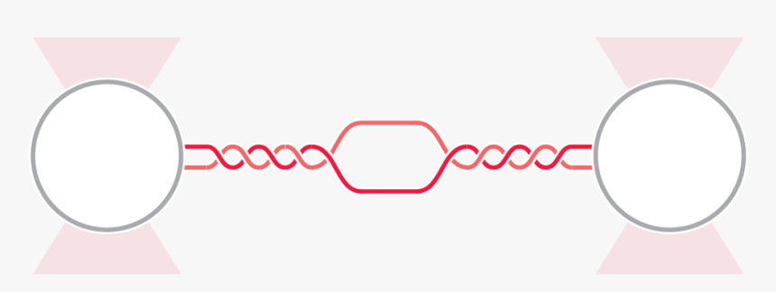 Dna Breathing Optical Tweezers Fluorescence Microscopy, HD Png Download, Free Download