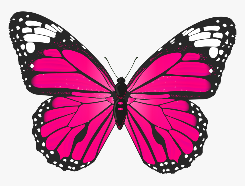 Monarch Butterfly Clipart Png Full Hd - Butterfly Clipart Pink, Transparent Png, Free Download