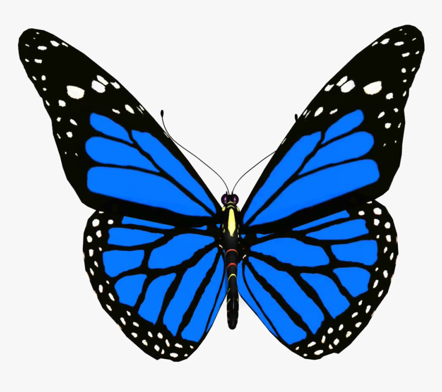 Moths And - Blue Monarch Butterfly Png, Transparent Png, Free Download