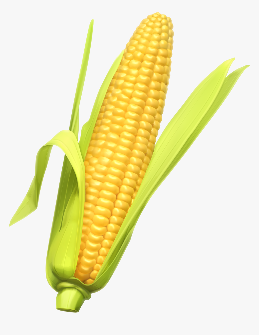 Corn Clipart Best Web Transparent Png - Single Fruits And Vegetables, Png Download, Free Download