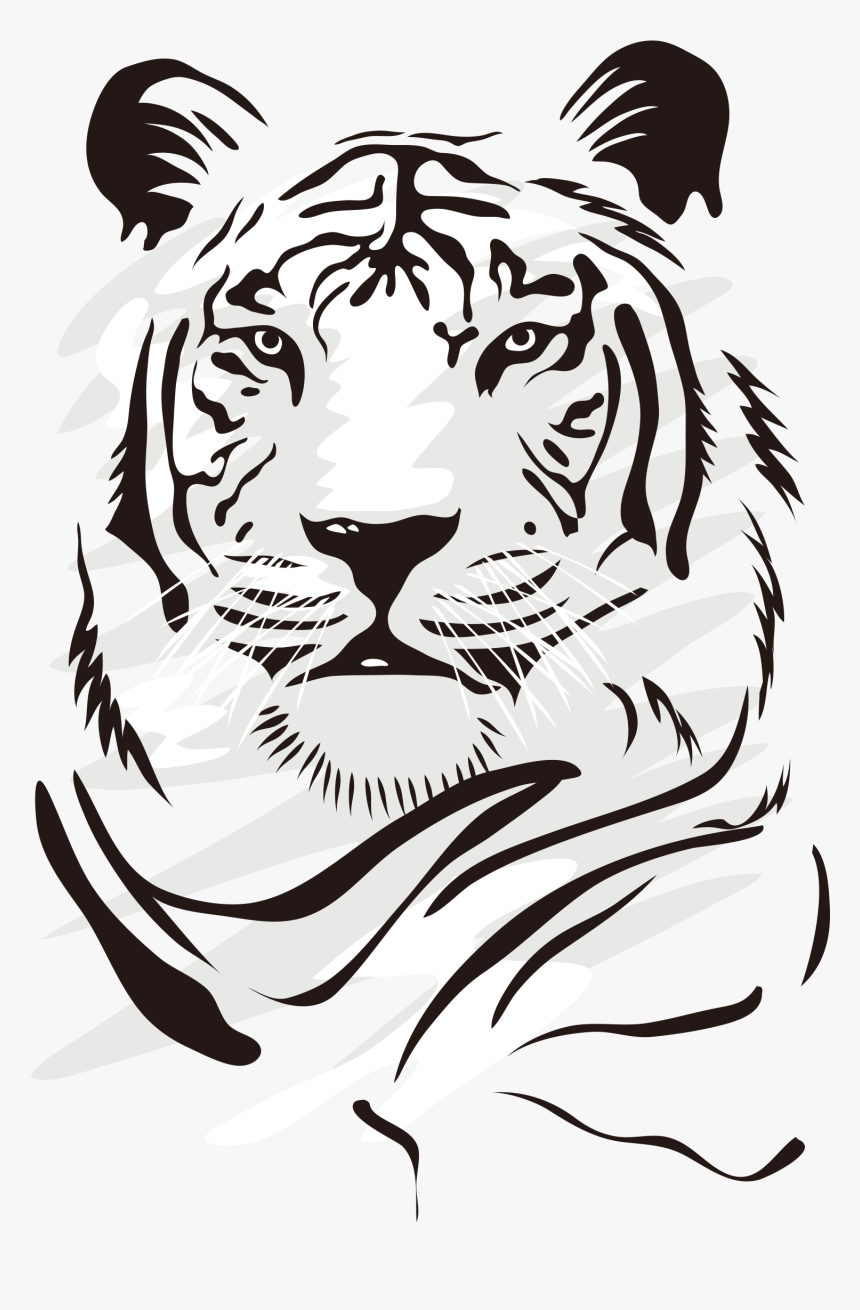 Tiger Euclidean Domineering Vector Png File Hd Clipart - Tiger Vector Art Png, Transparent Png, Free Download