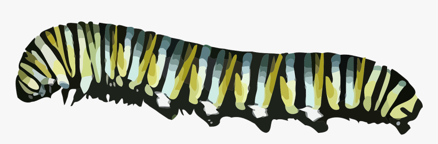 Caterpillar With Transparent Background, HD Png Download, Free Download