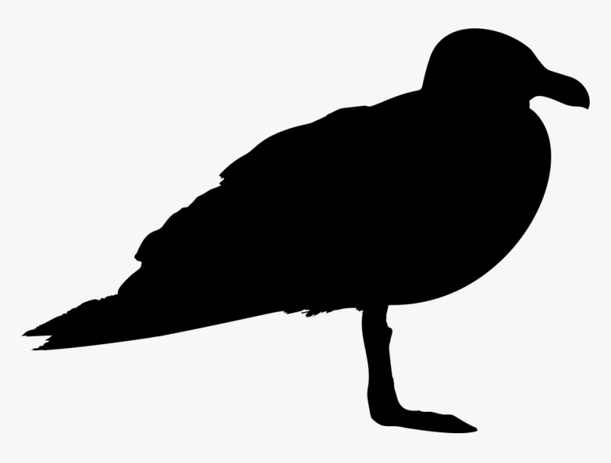 Seagull, Bird, Animal, Profile, Silhouette, Svg, Vector - Silhouette Of A Seagull, HD Png Download, Free Download