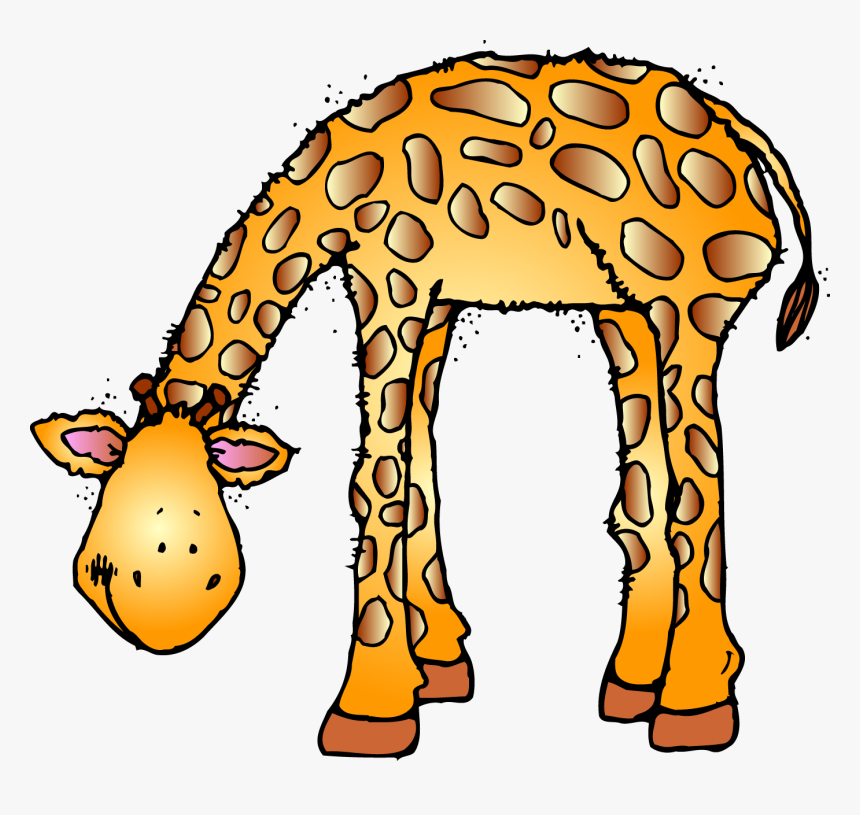 Zoo Vector Animal Clipart - Clip Art Zoo Animals, HD Png Download, Free Download