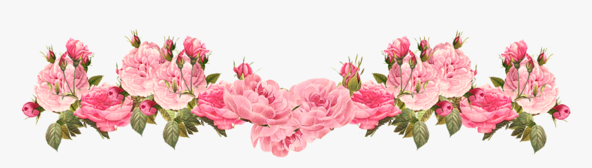 Vintage Pink Rose Border Png - Flower Bottom Border Png, Transparent Png, Free Download