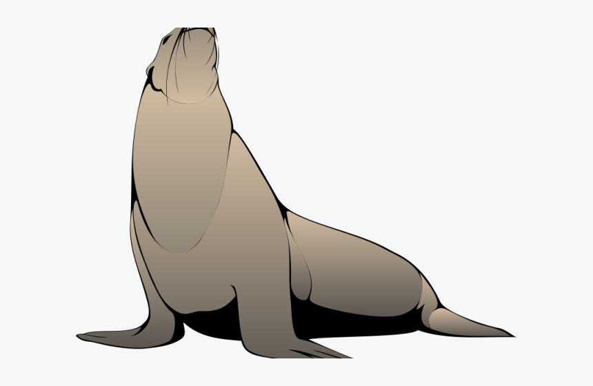 Seal Clipart Realistic - Steller Sea Lion Clip Art, HD Png Download, Free Download